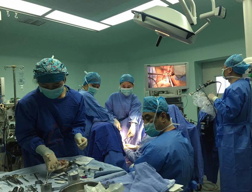 韩国贝乐居元铁教授全国女性生殖整形手术技术培训班（广州站）现场手术及学术研讨会圆满落幕